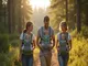 die-perfekte-babytrage-zum-wandern-darauf-solltest-du-achten